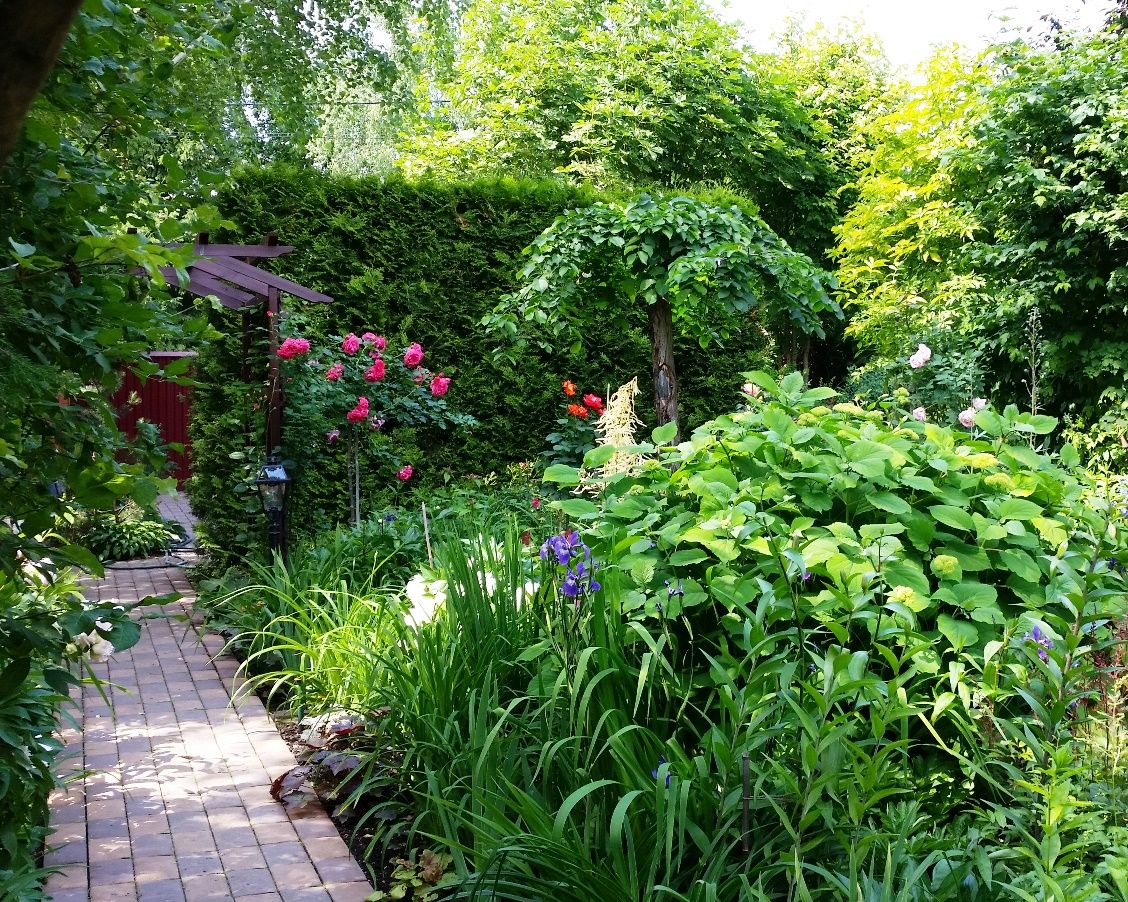 Проект Горки 2