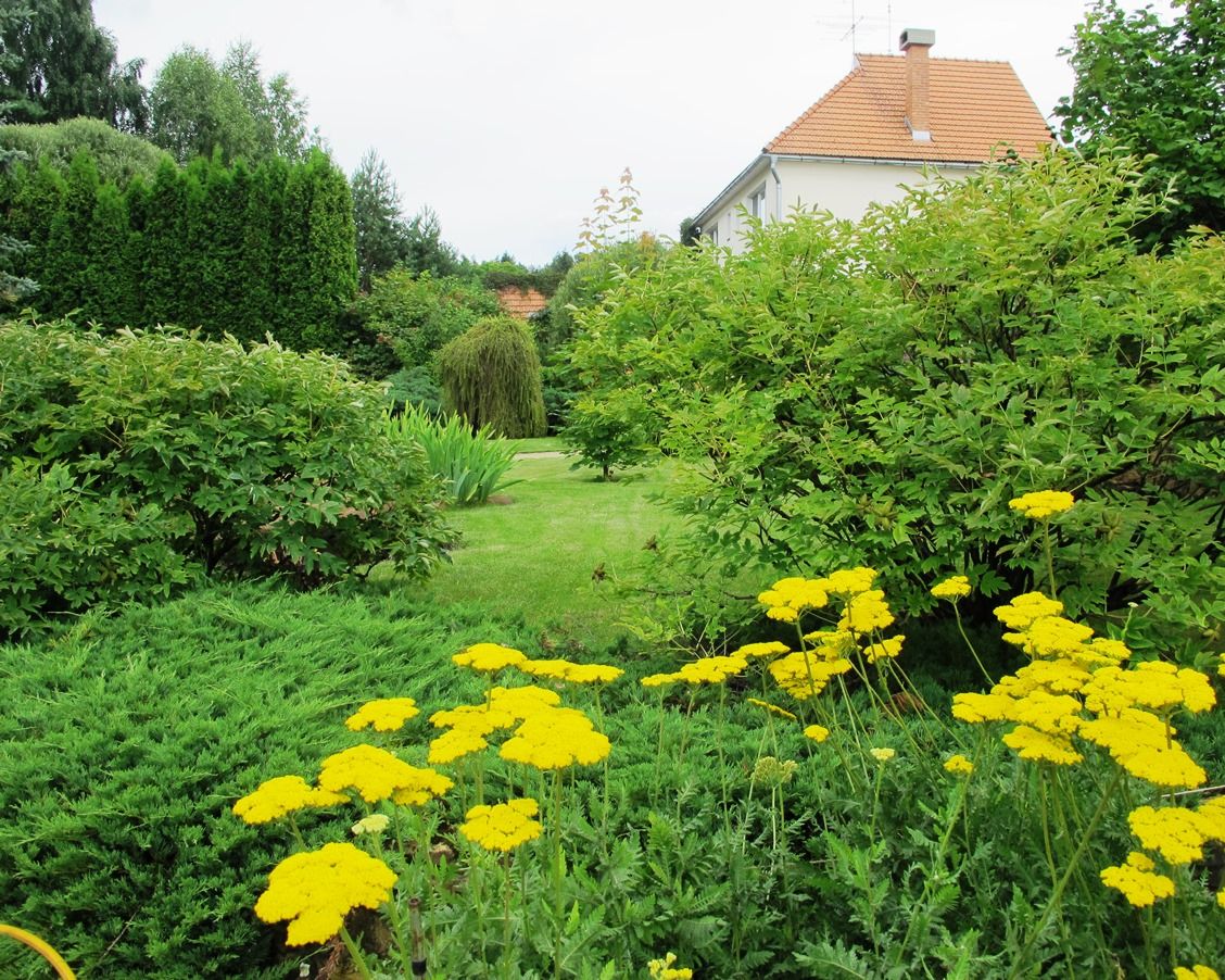 Ливадия на Истре